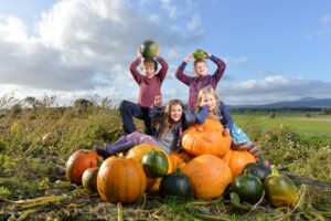Arnprior Pumpkins